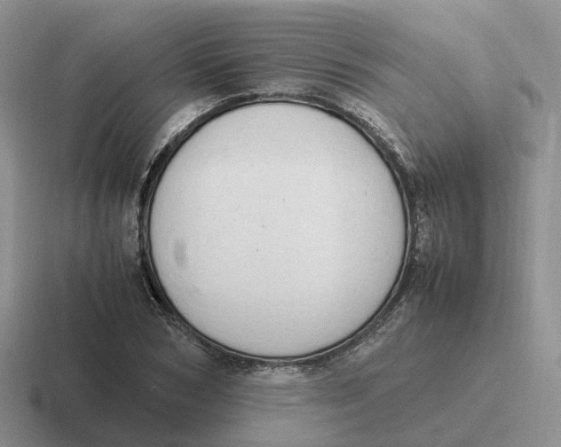 X0000116660978201001041106