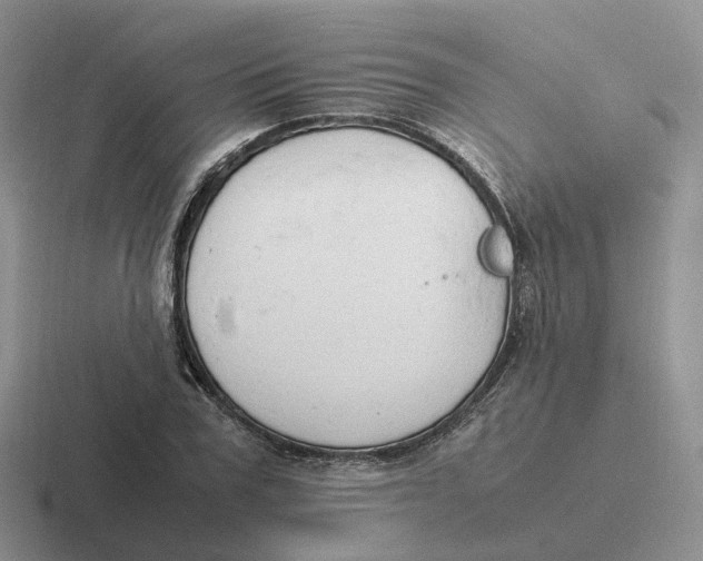 X0000116660979201001041106