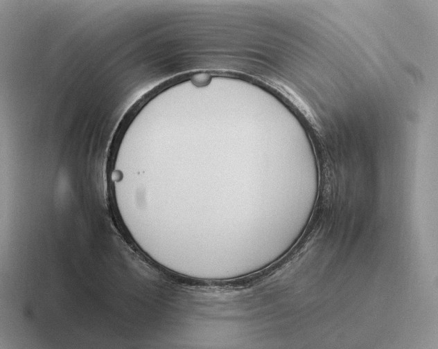 X0000116660980201001041106