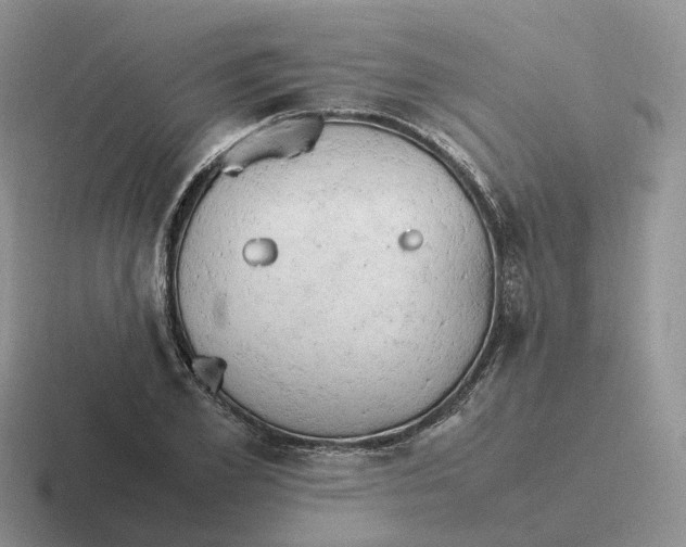 X0000116660981201001041106