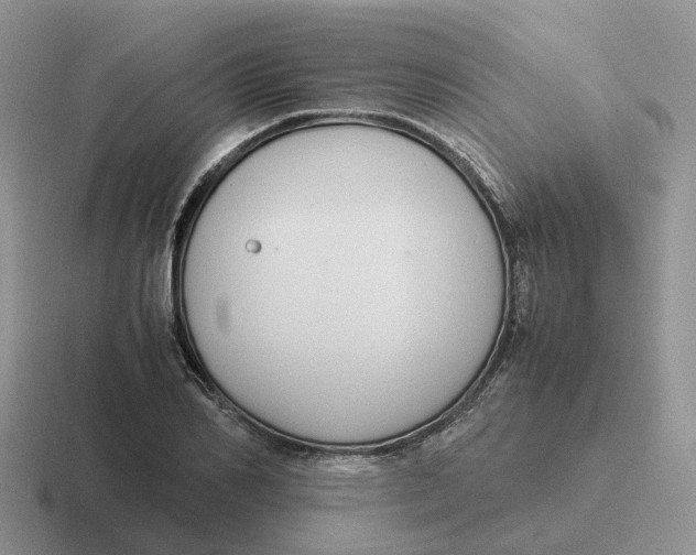 X0000116660982201001041106