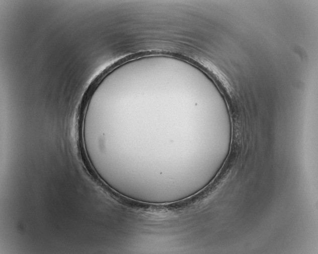 X0000116660983201001041106