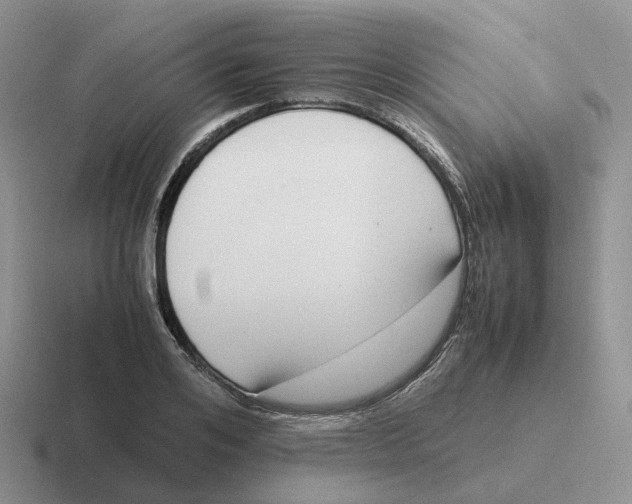 X0000116660984201001041106