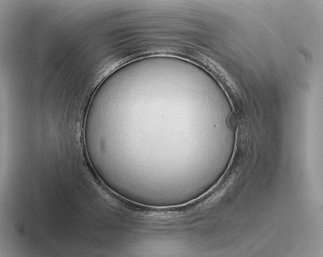 X0000116660985201001041106