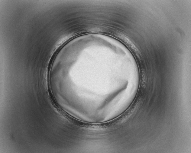 X0000116660986201001041106