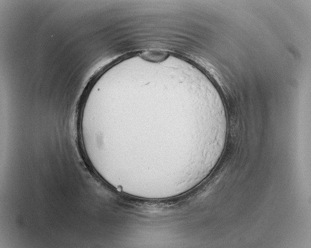 X0000116660987201001041106