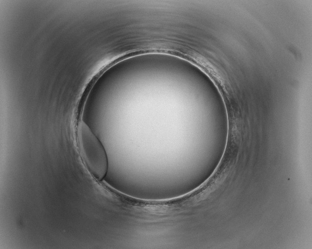 X0000116660989201001041106