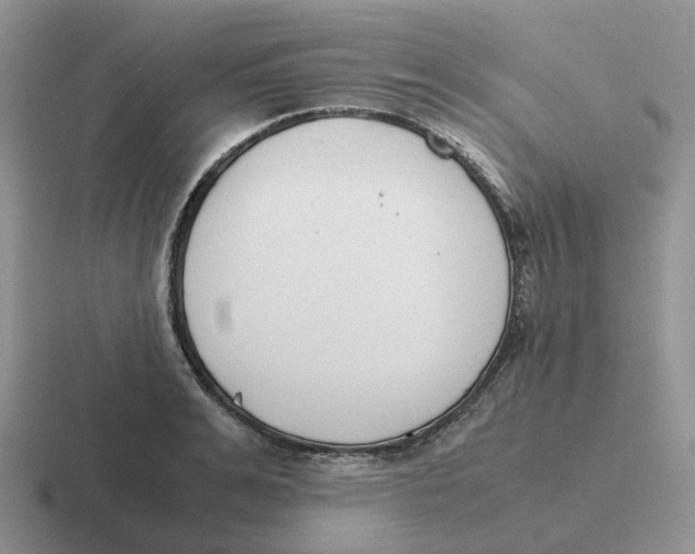 X0000116660991201001041106