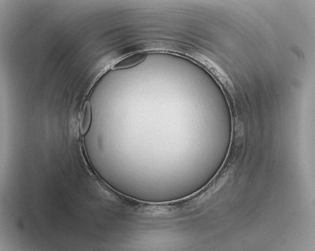 X0000116660993201001041106