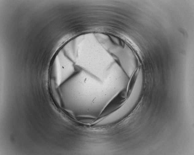 X0000116660994201001041106