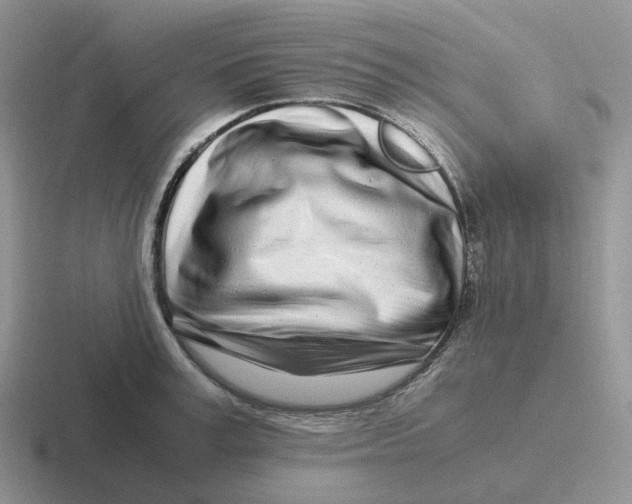 X0000116660995201001041106