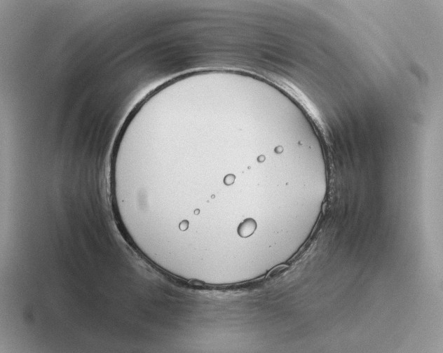 X0000116660996201001041106