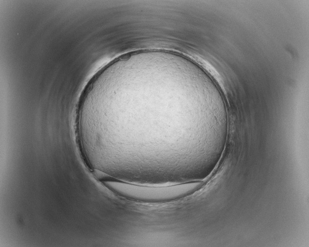 X0000116660997201001041106