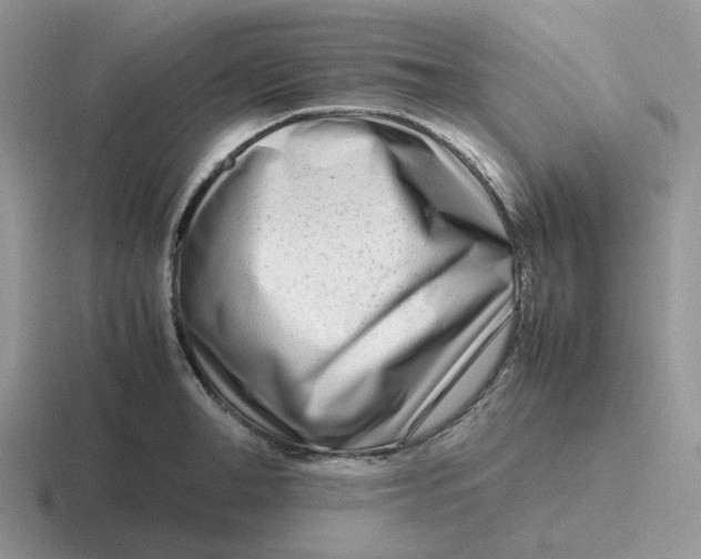 X0000116660998201001041106