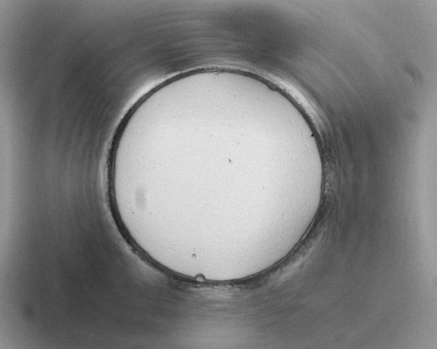 X0000116660999201001041106