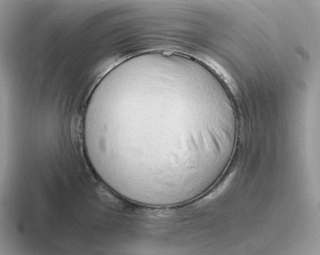 X0000116661001201001041106