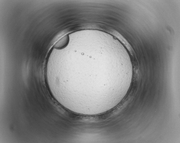 X0000116661002201001041106