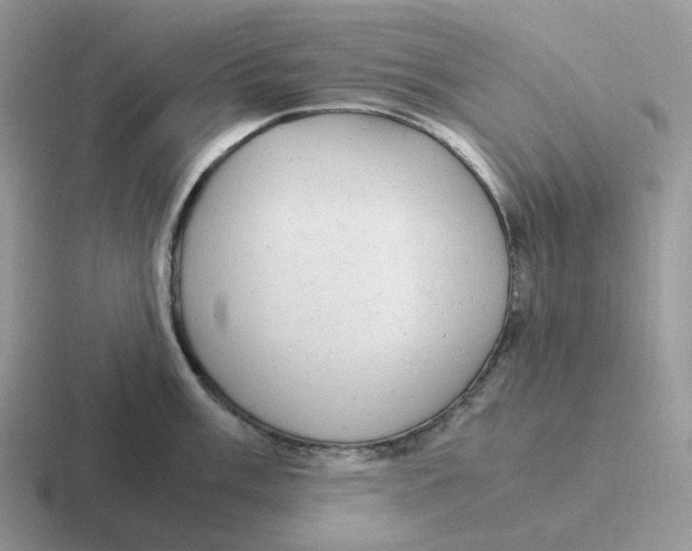 X0000116661003201001041106