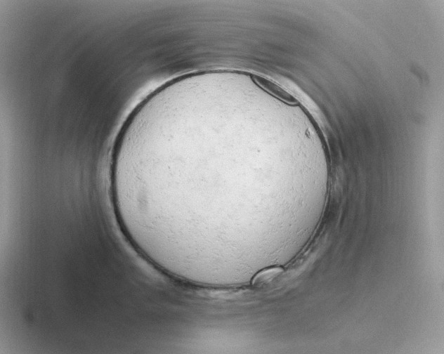 X0000116661005201001041106