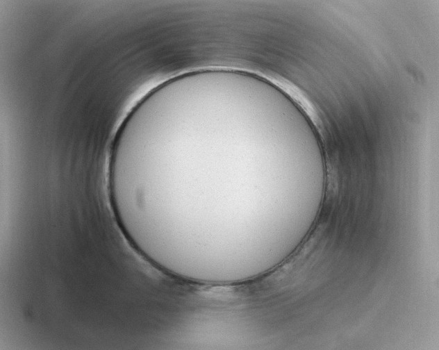 X0000116661006201001041106