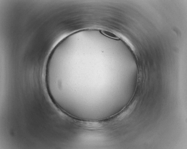 X0000116661007201001041106