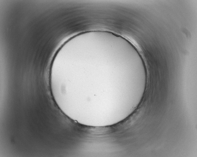 X0000116661008201001041106