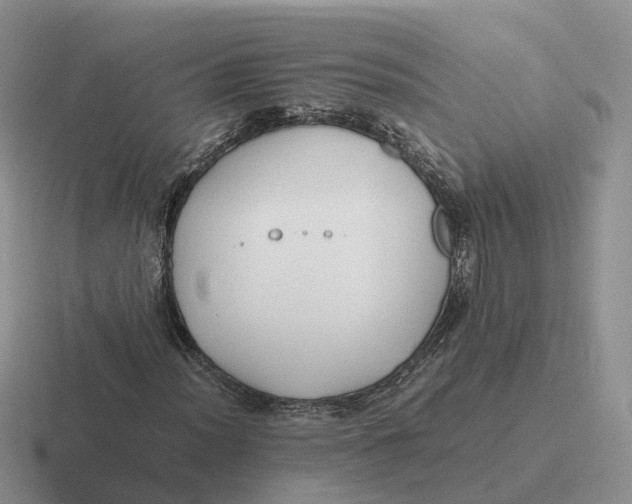 X0000116661012201001041106