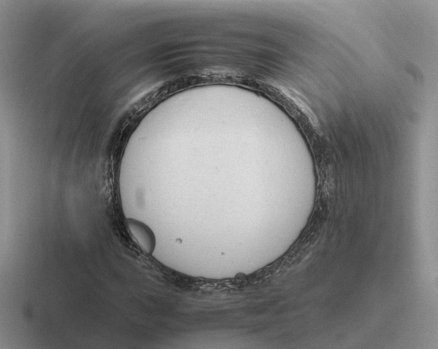 X0000116661015201001041106