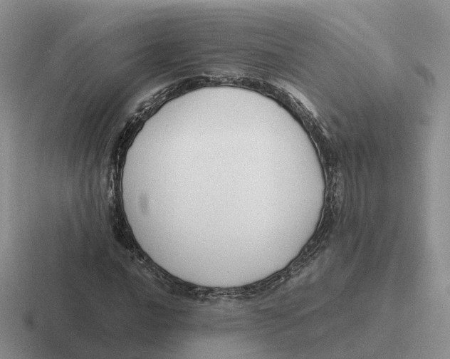 X0000116661016201001041106