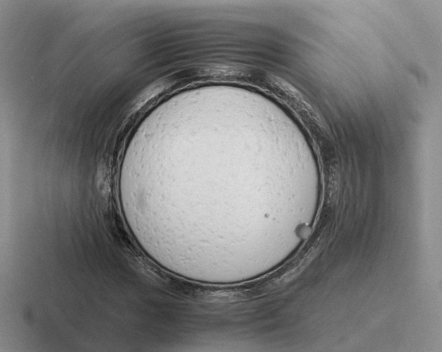 X0000116661017201001041106