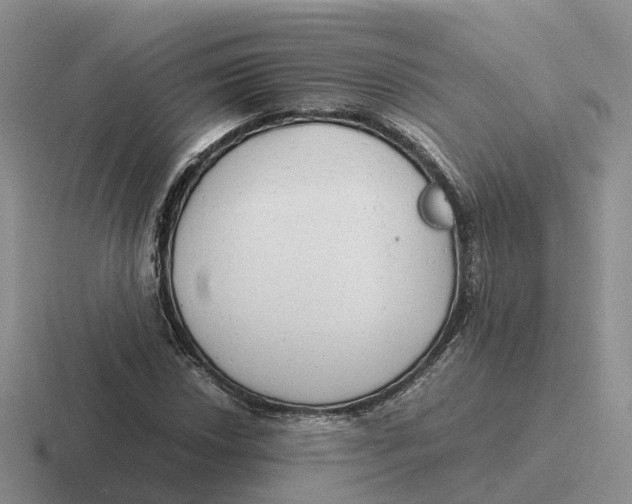 X0000116661018201001041106