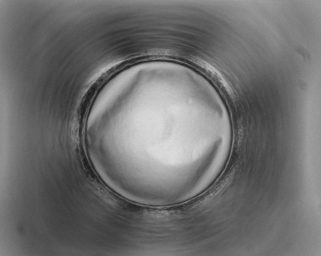 X0000116661019201001041106