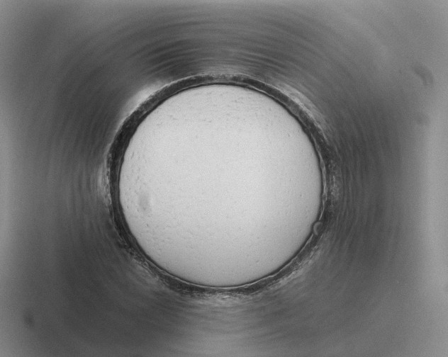 X0000116661022201001041106