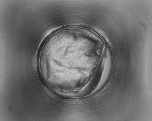 X0000116661024201001041106