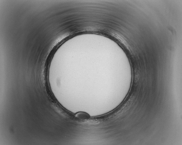 X0000116661026201001041106