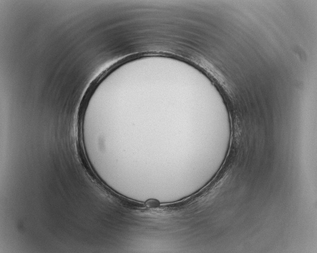 X0000116661028201001041106