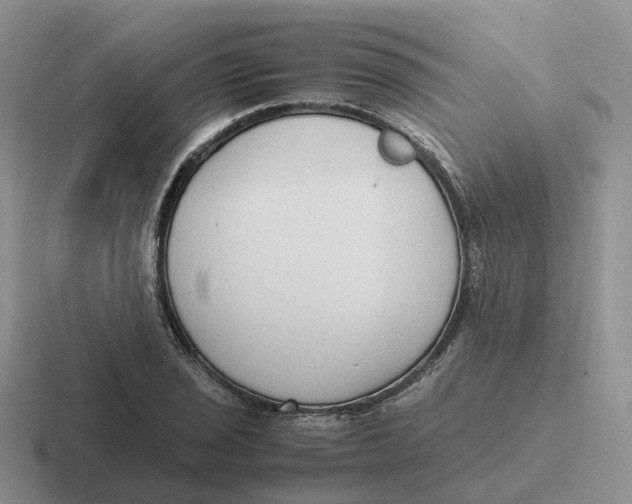 X0000116661029201001041106