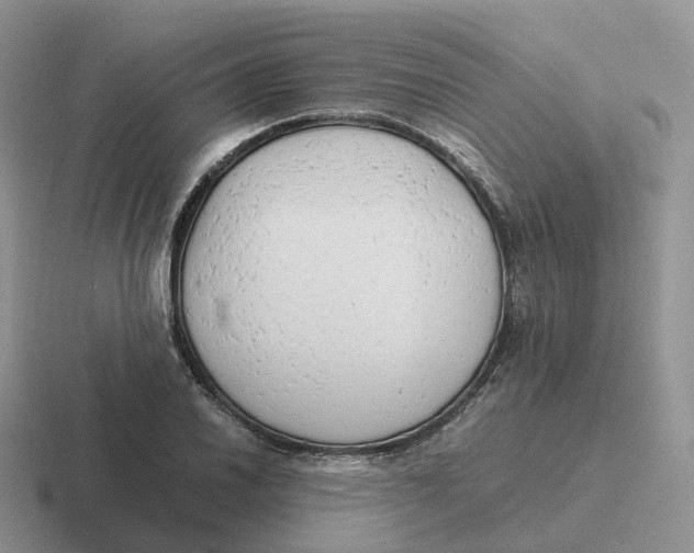 X0000116661030201001041106