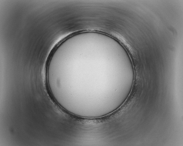 X0000116661032201001041106