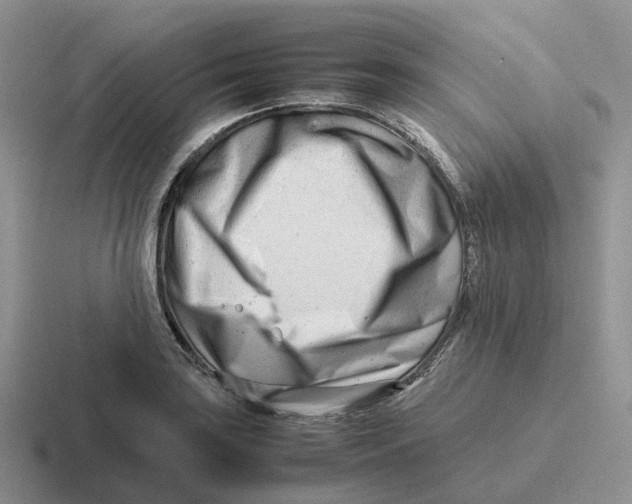 X0000116661035201001041106