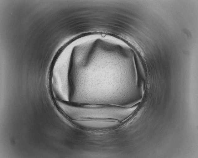 X0000116661037201001041106