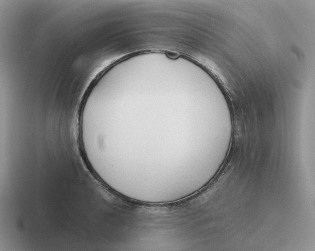 X0000116661040201001041106