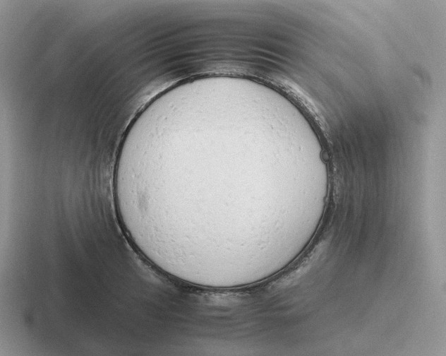 X0000116661041201001041106