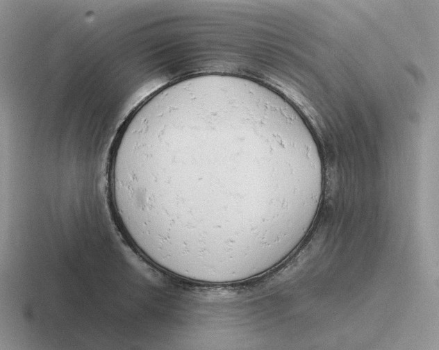 X0000116661042201001041106