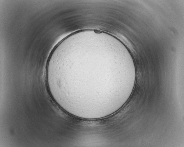 X0000116661044201001041106