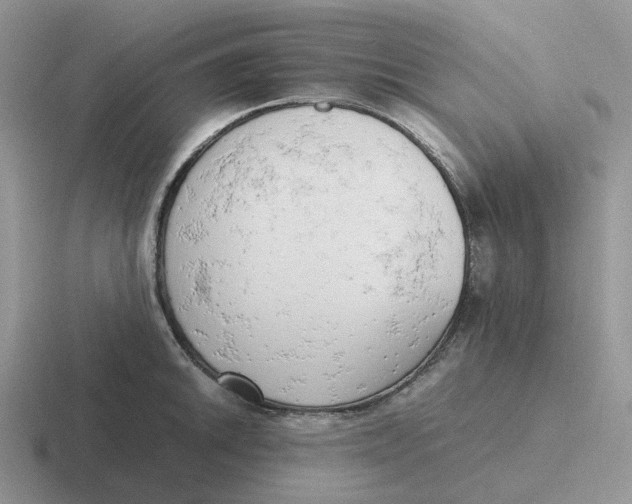 X0000116661046201001041106