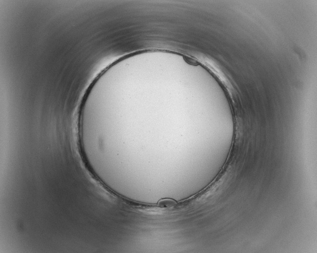 X0000116661048201001041106