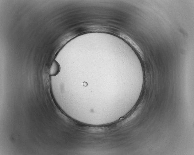 X0000116661049201001041106