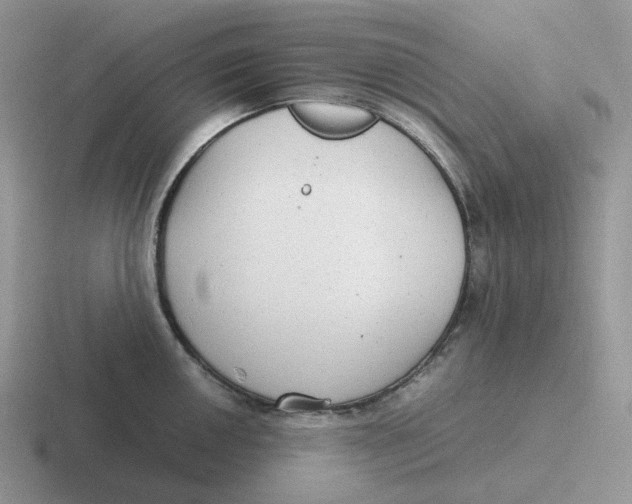 X0000116661050201001041106