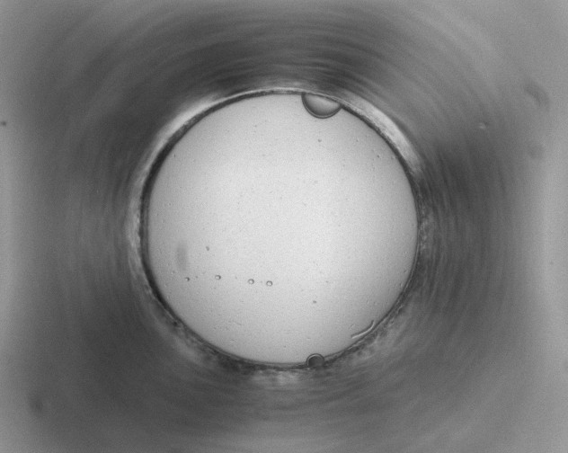 X0000116661051201001041106